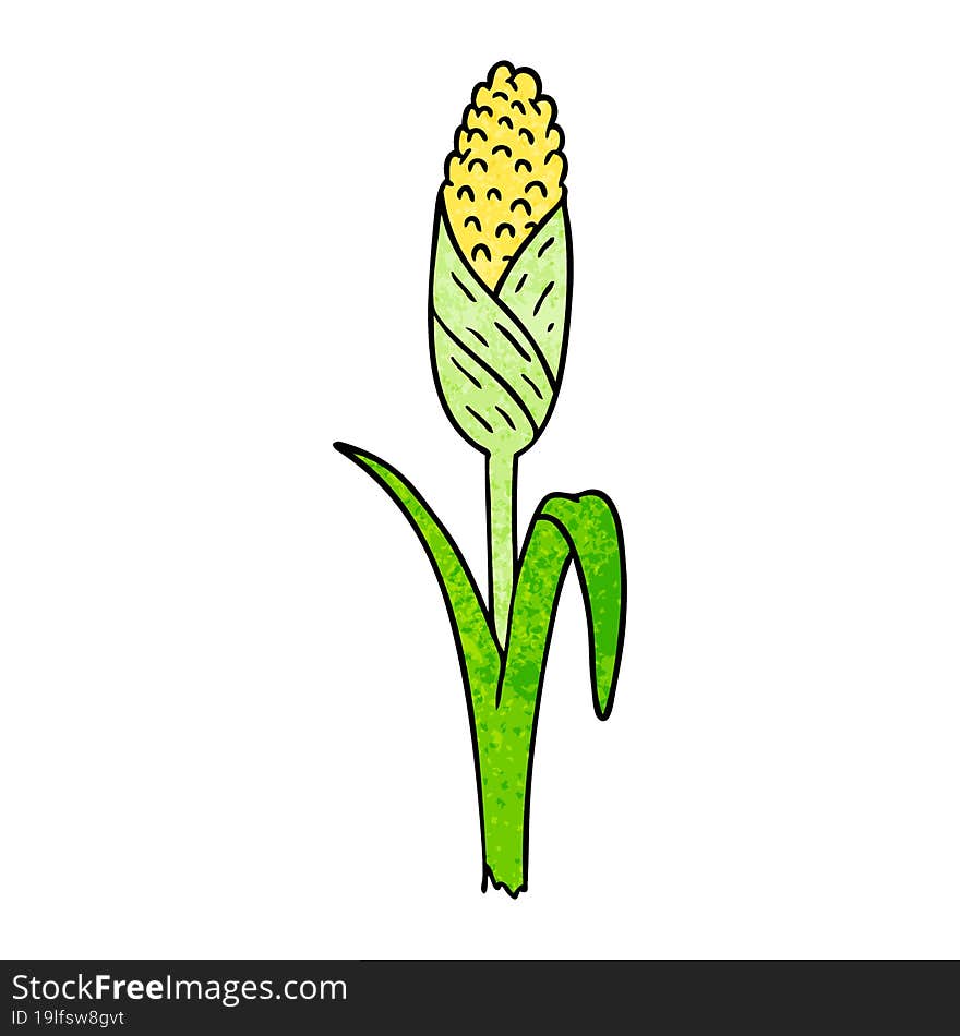 textured cartoon doodle of fresh corn on the cob