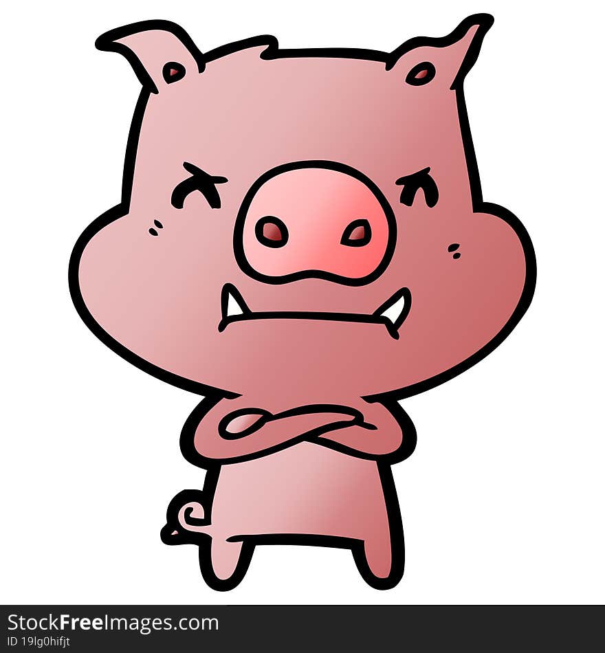 angry cartoon pig. angry cartoon pig