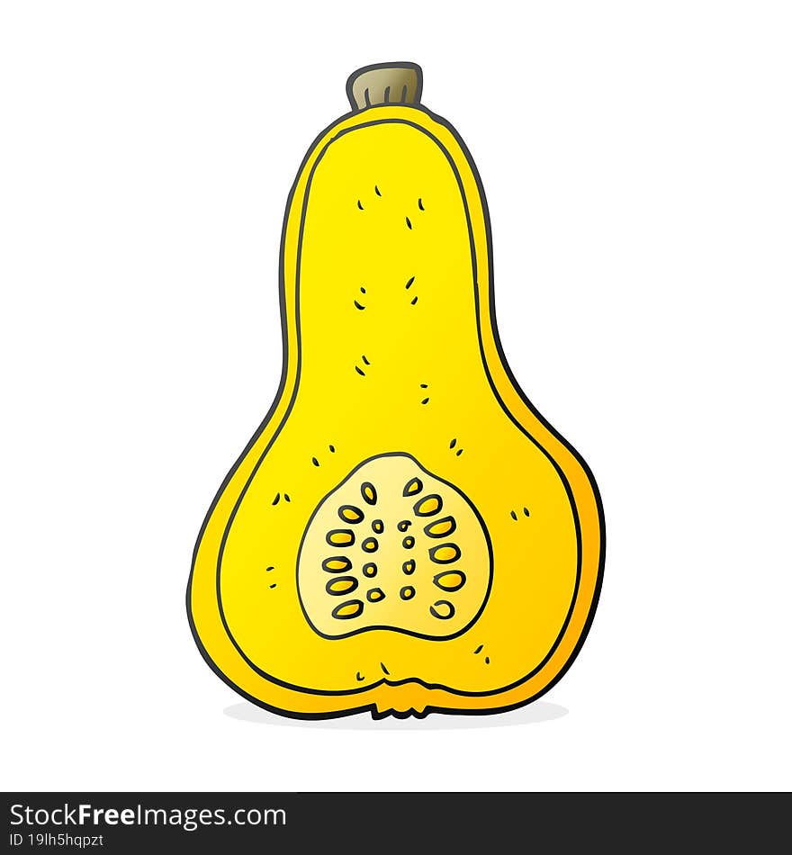 freehand drawn cartoon butternut squash