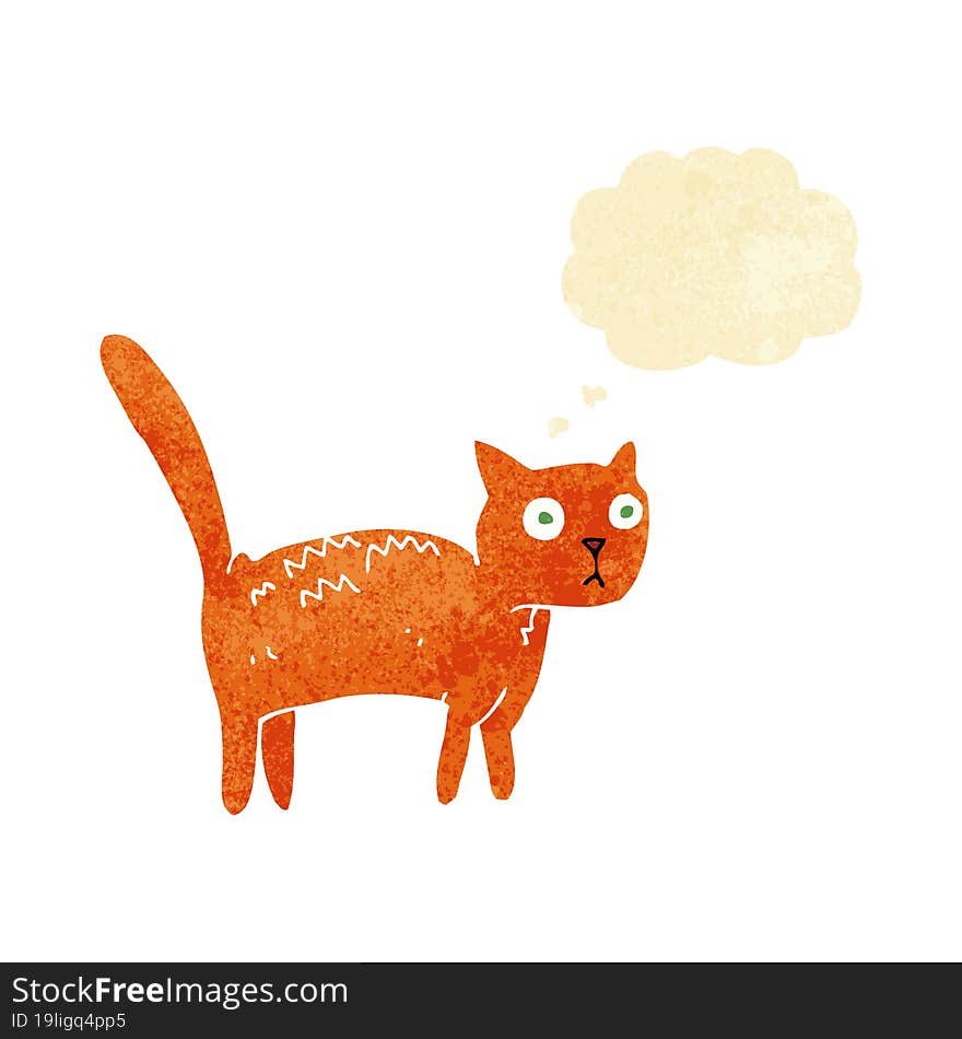 cartoon frightened cat with thought bubble