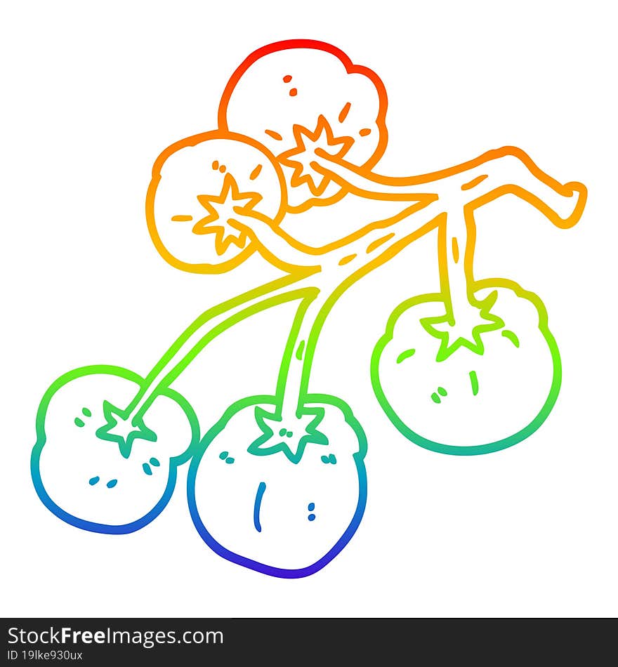 rainbow gradient line drawing cartoon tomatoes on vine