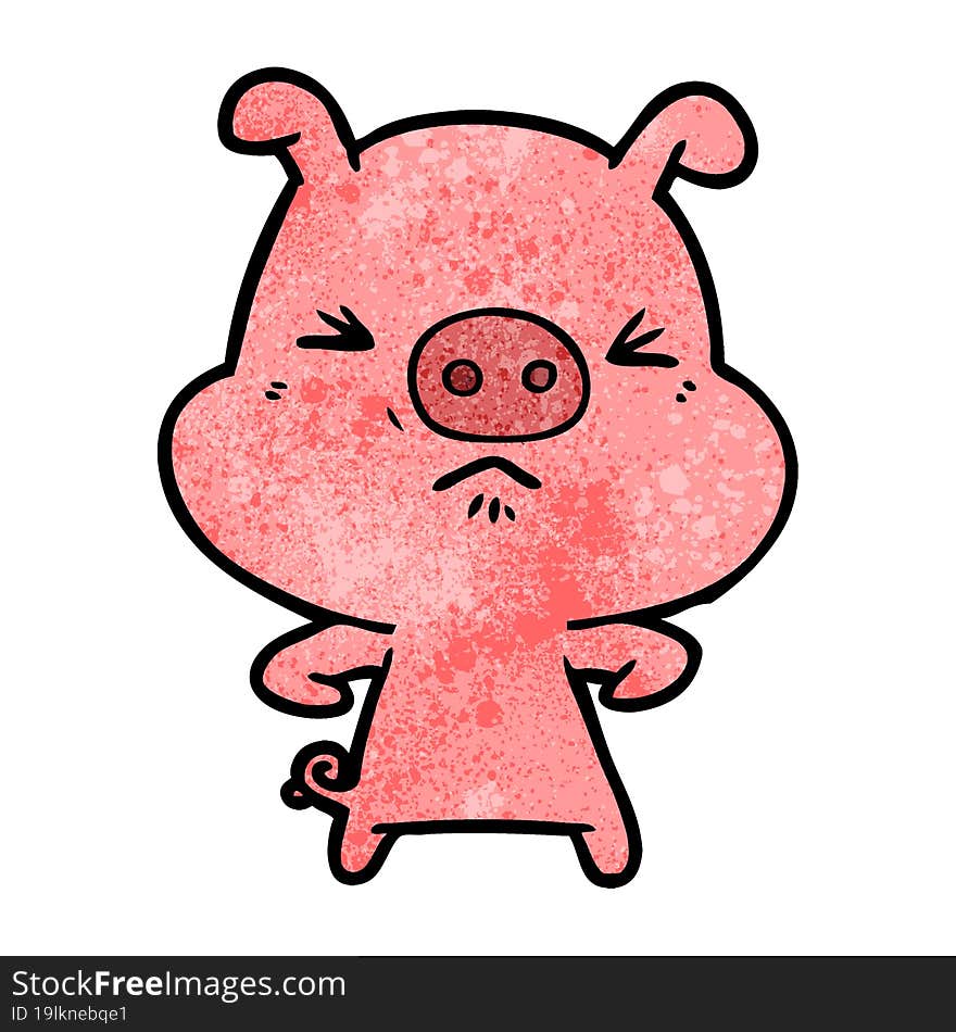 cartoon angry pig. cartoon angry pig