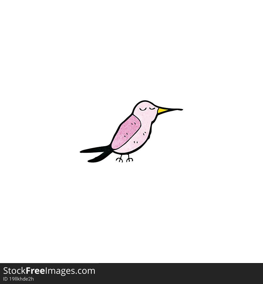 cartoon hummingbird