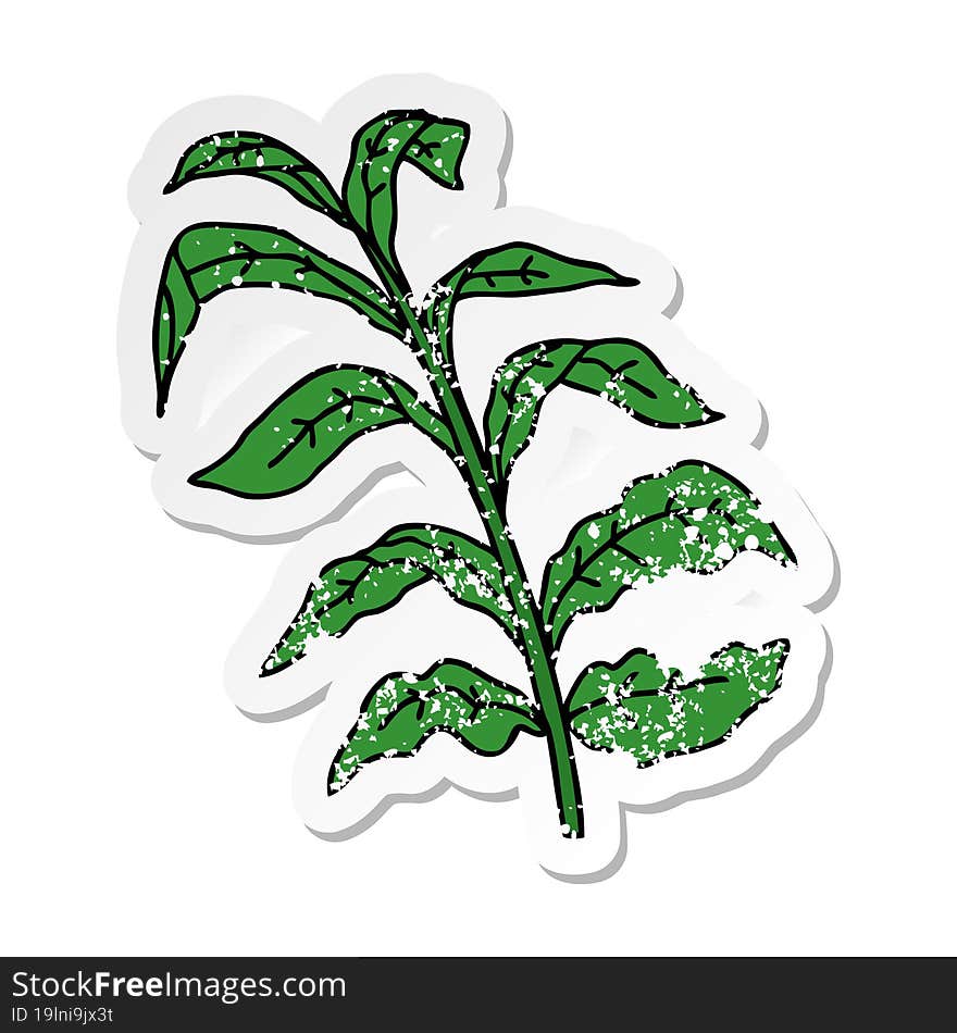 Distressed Sticker Of A Quirky Hand Drawn Cartoon Vine Leaves