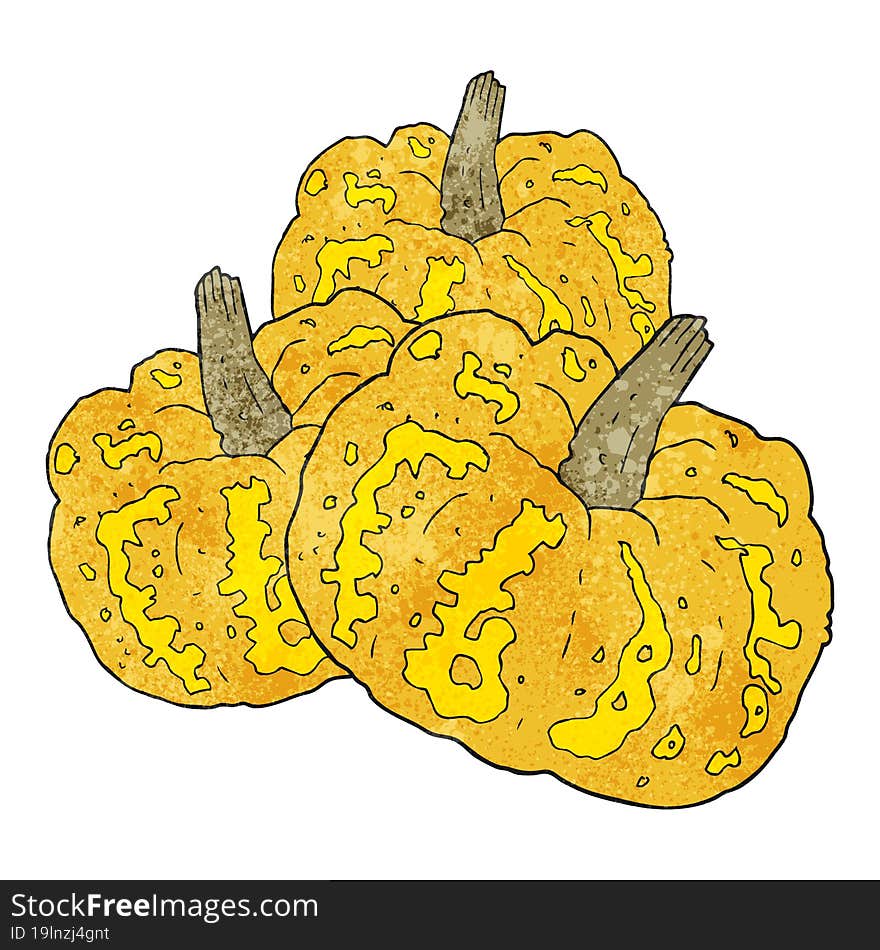 textured cartoon squash