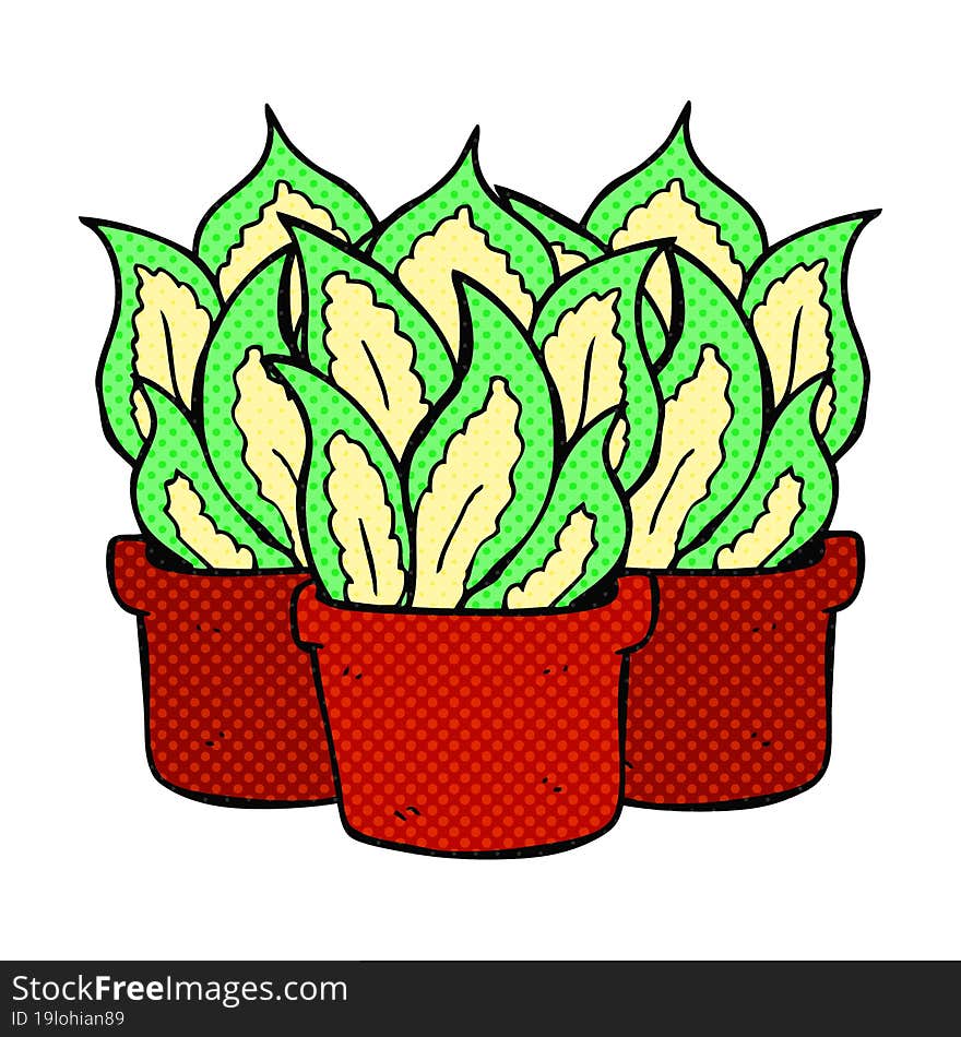 Comic Book Style Cartoon House Plants