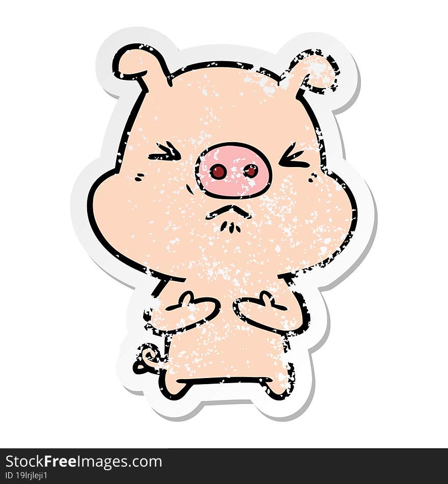 distressed sticker of a cartoon angry pig