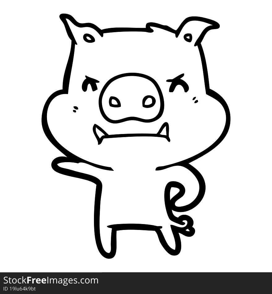 angry cartoon pig. angry cartoon pig