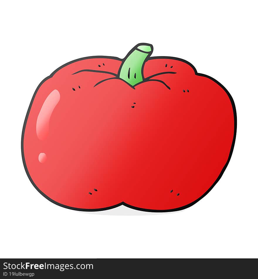 freehand drawn cartoon tomato