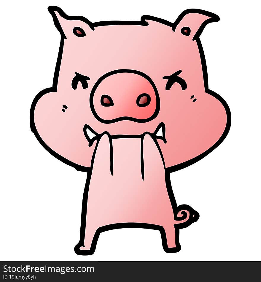 angry cartoon pig. angry cartoon pig