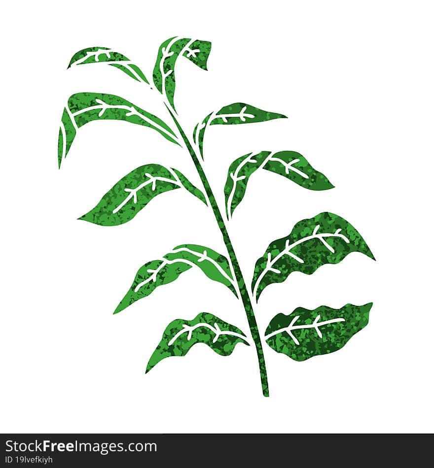 Quirky Retro Illustration Style Cartoon Vine Leaves