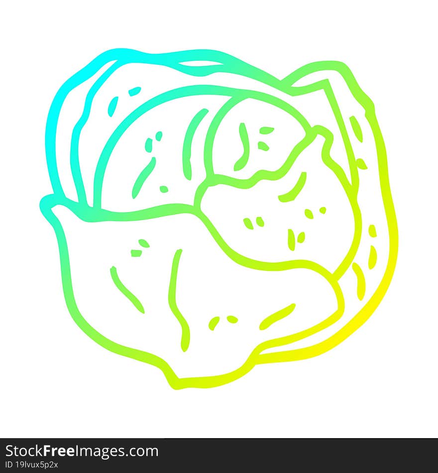 cold gradient line drawing cartoon organic lettuce