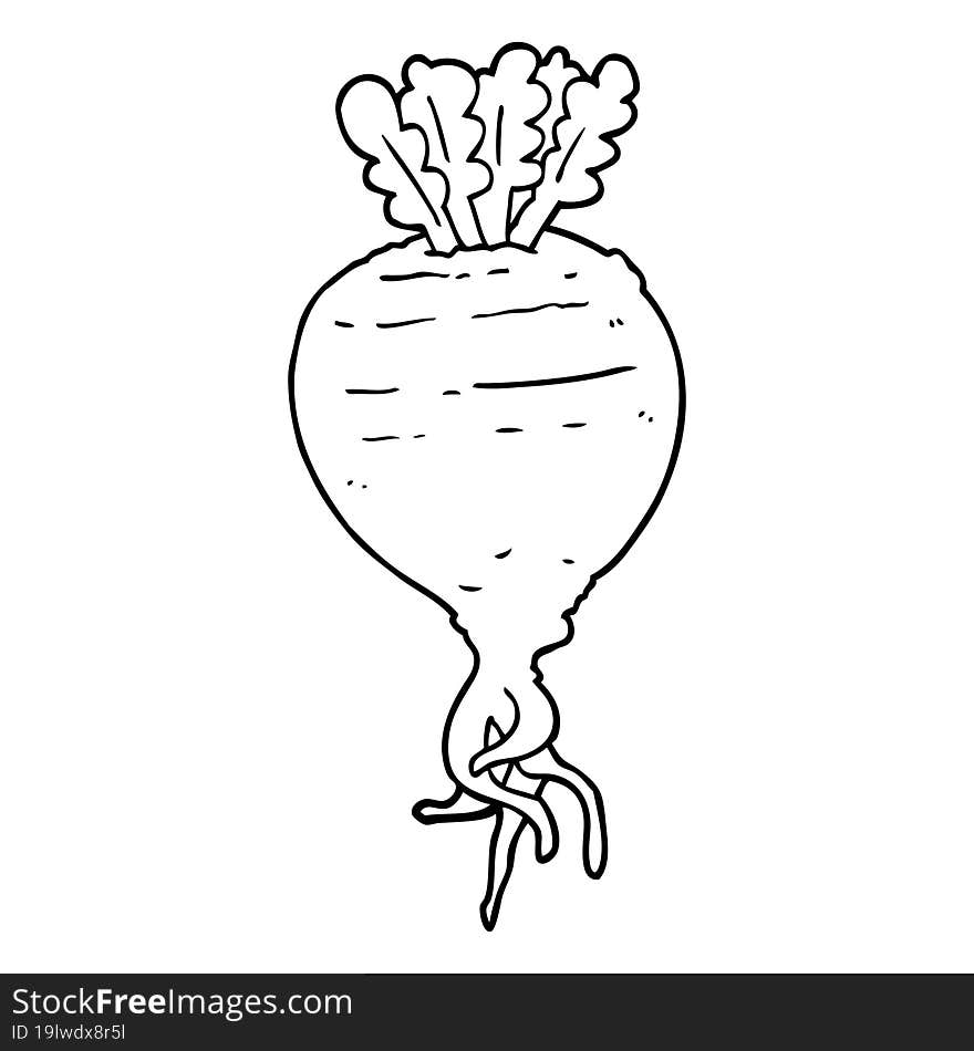 Cartoon Root Vegetable