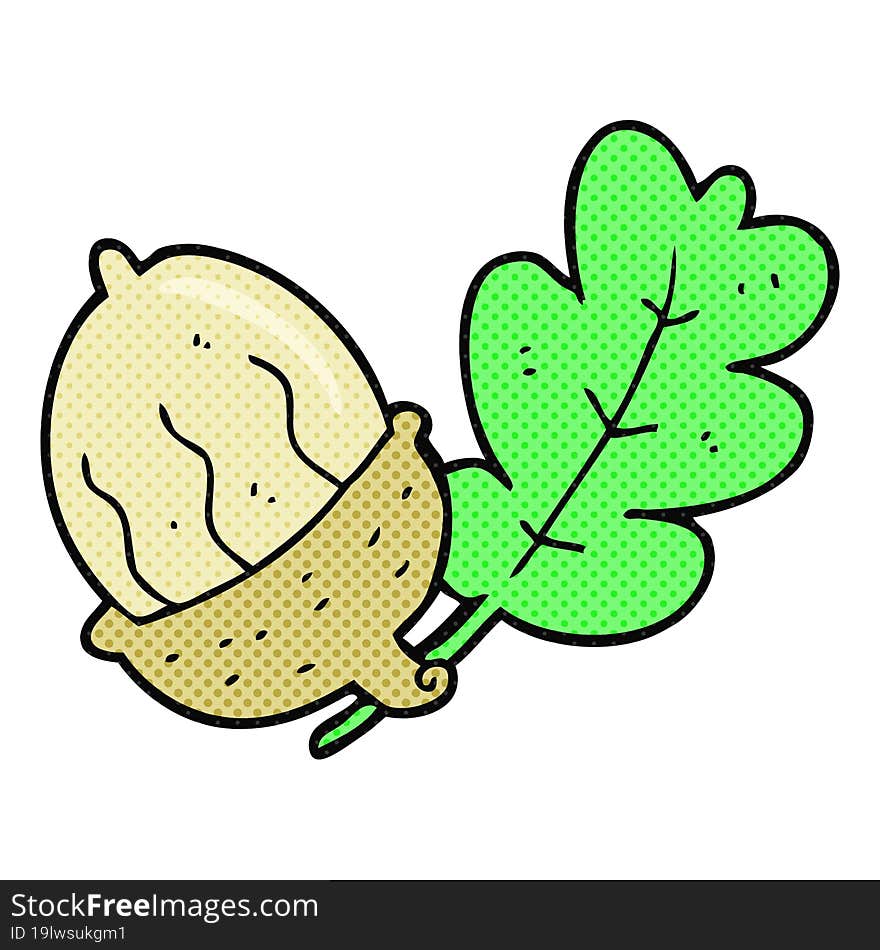 Cartoon Acorn