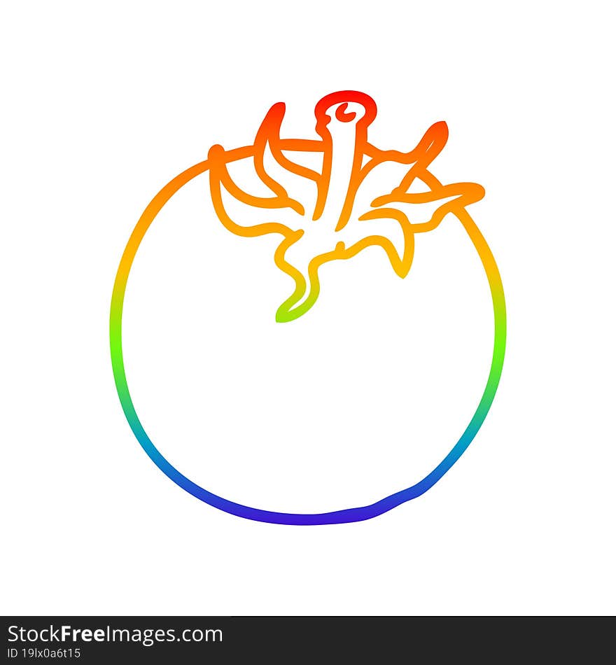 rainbow gradient line drawing fresh tomato