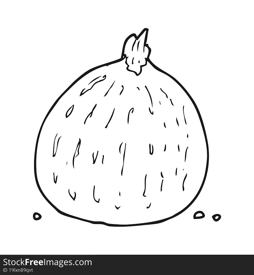 black and white cartoon squash