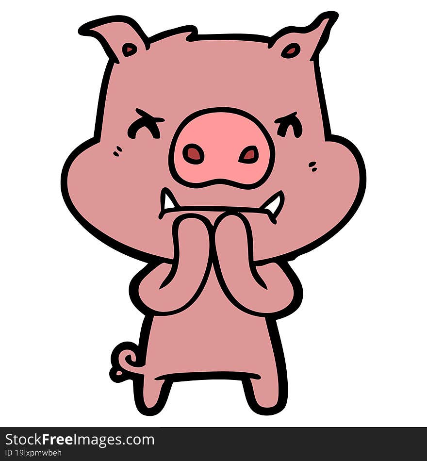 angry cartoon pig. angry cartoon pig