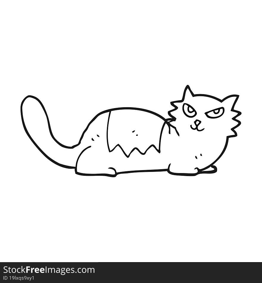 Black And White Cartoon Cat