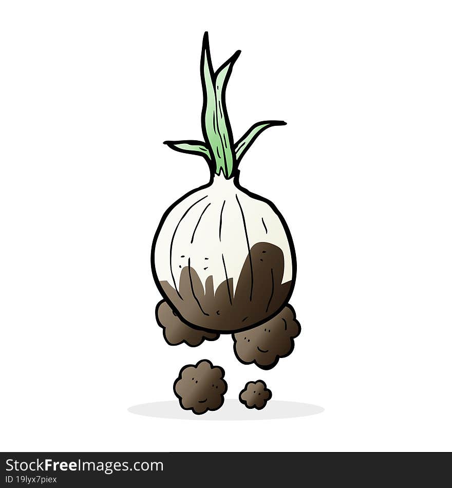 cartoon organic onion