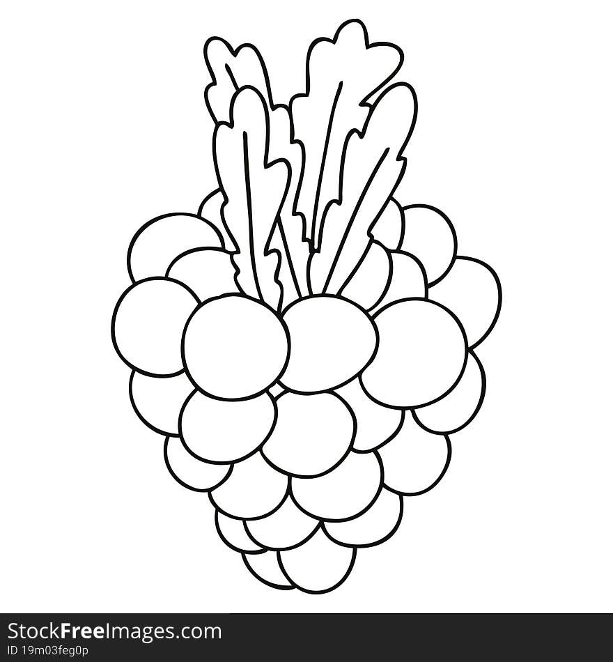 quirky line drawing cartoon bunch of grapes