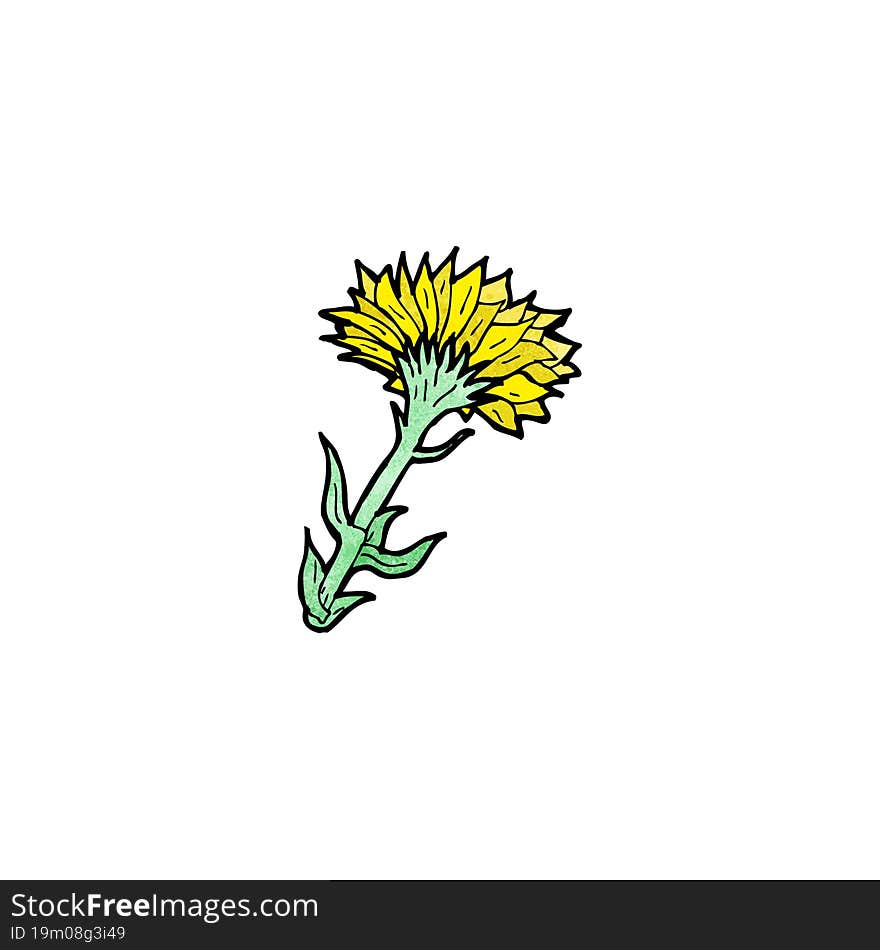 Cartoon Flower