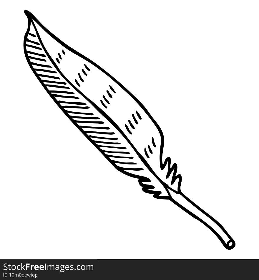 Black And White Cartoon Feather