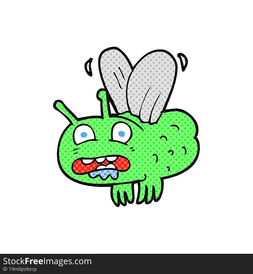 cartoon fly