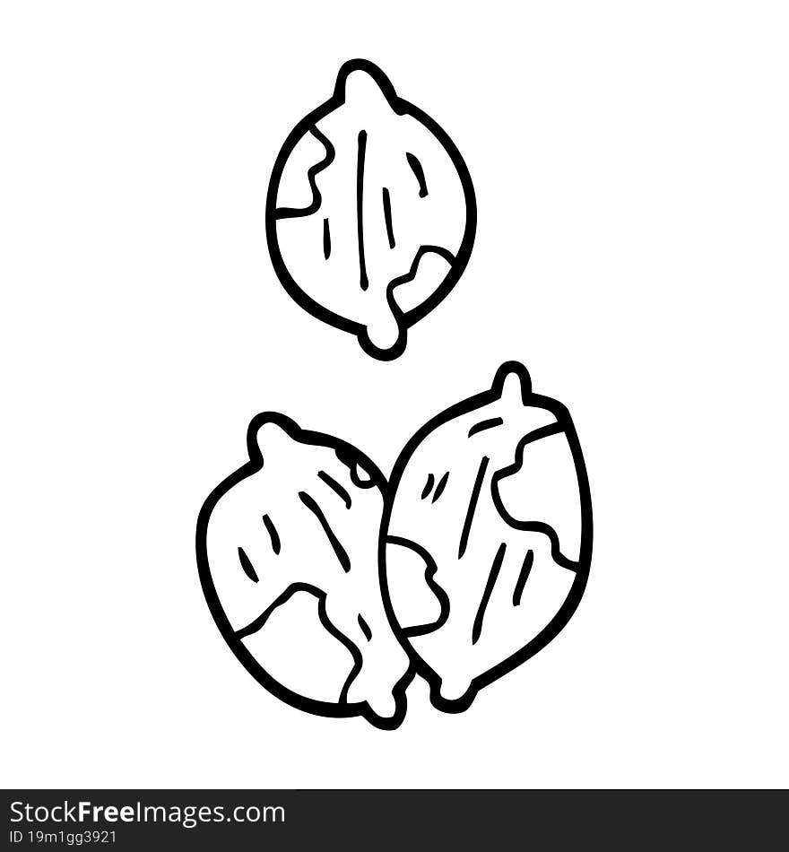 line drawing cartoon nuts in shells