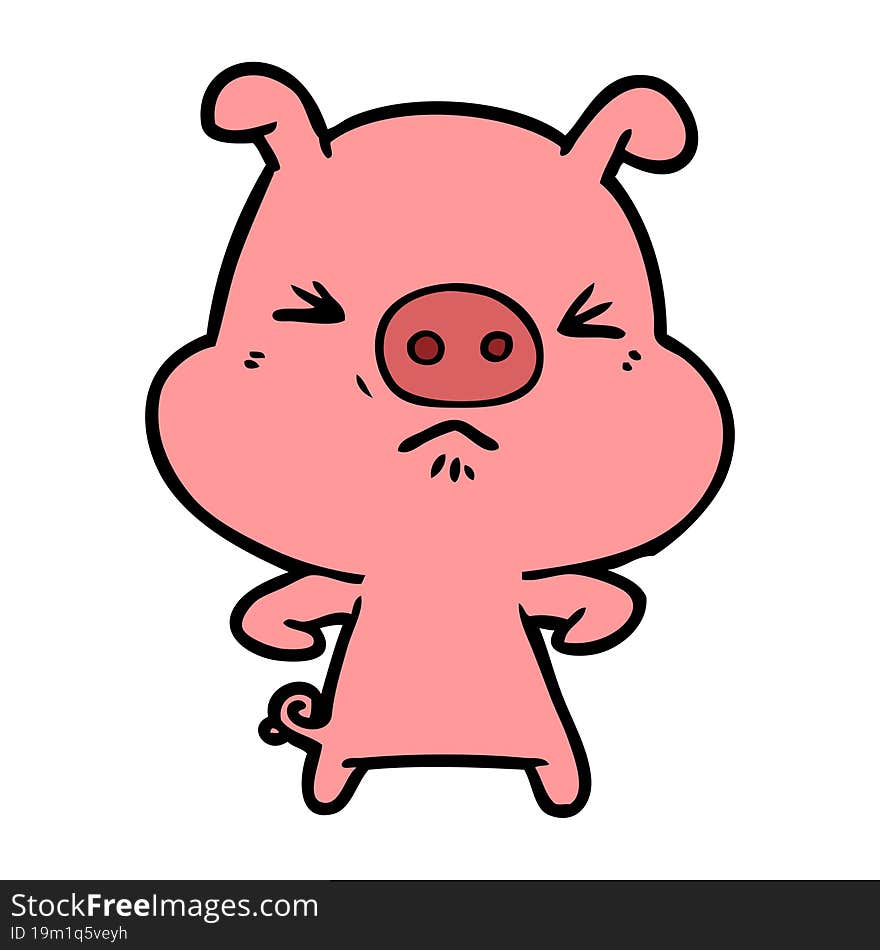 cartoon angry pig. cartoon angry pig