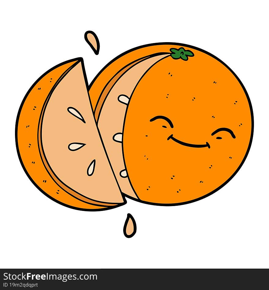 cartoon sliced orange. cartoon sliced orange