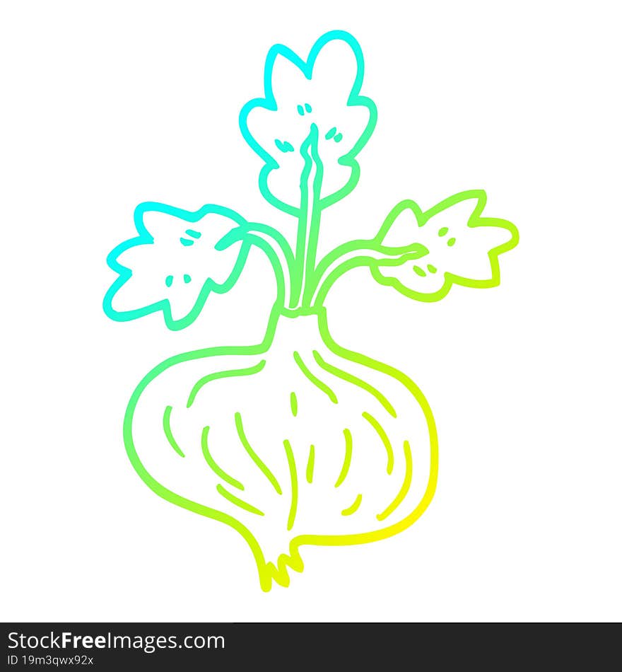 cold gradient line drawing cartoon old onion