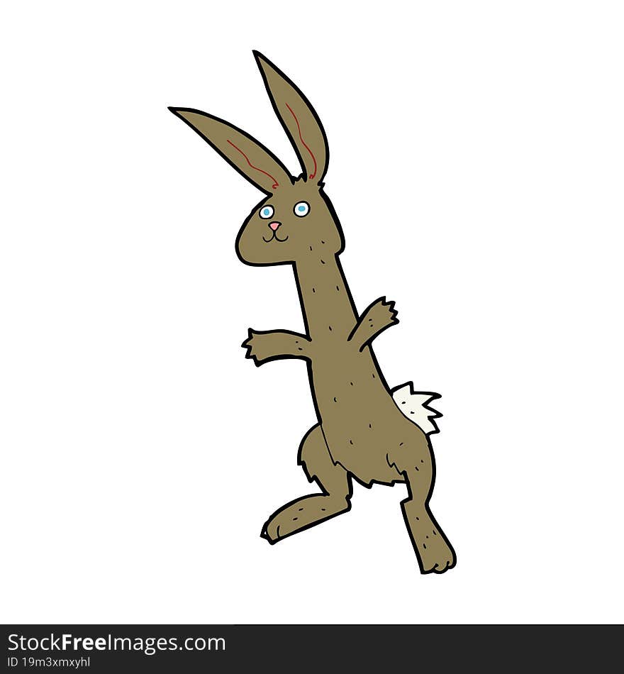 Cartoon Rabbit