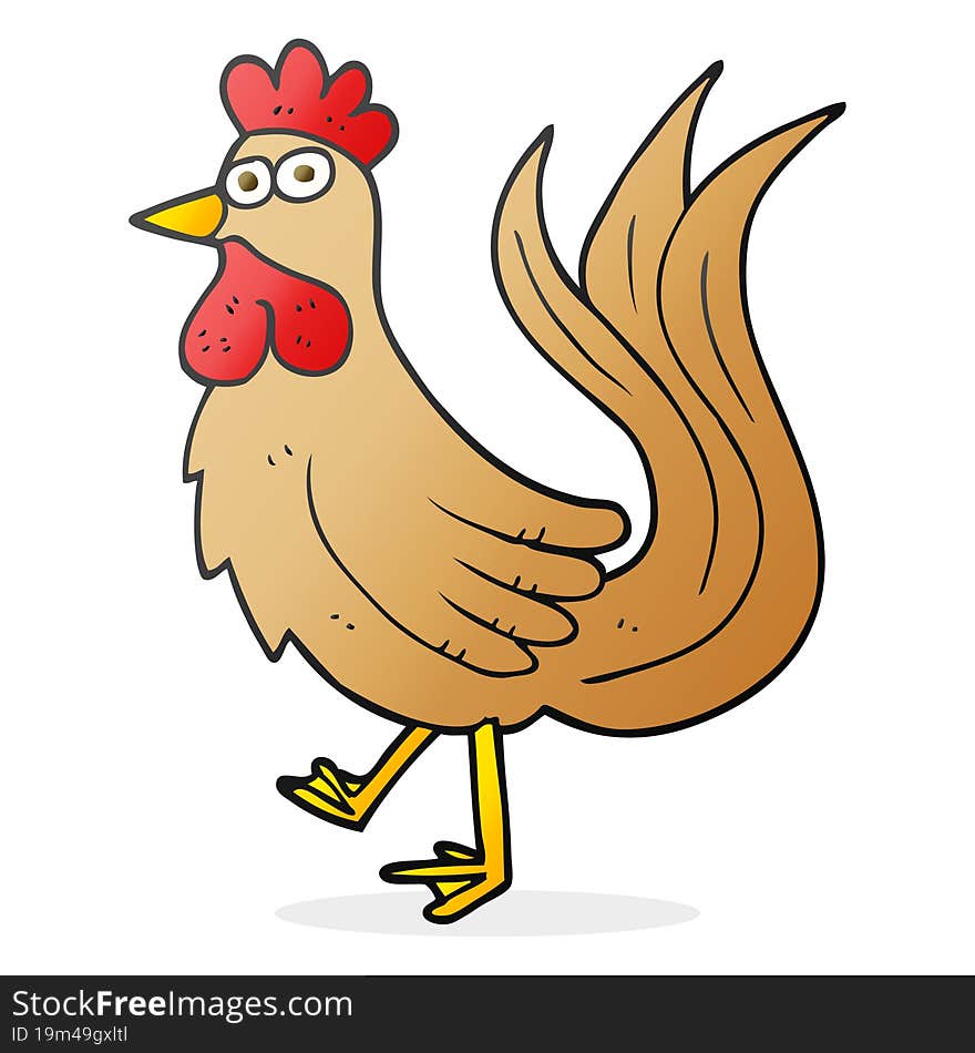 cartoon cock