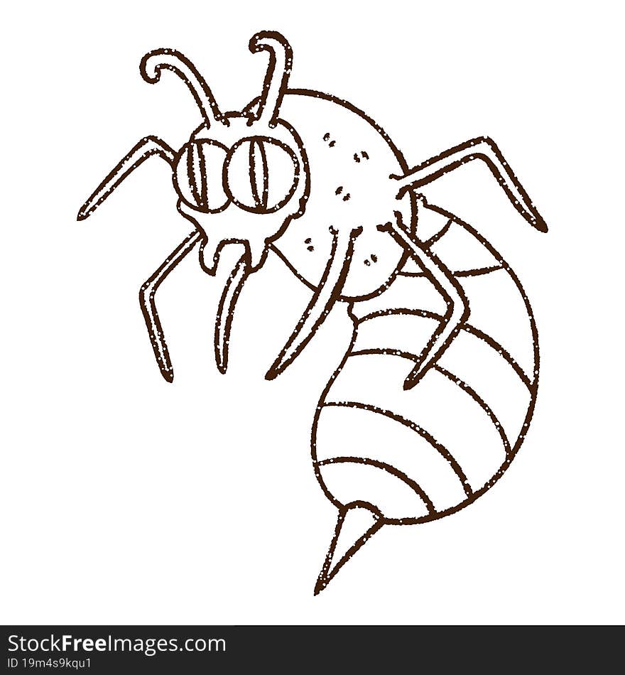Wasp Charcoal Drawing