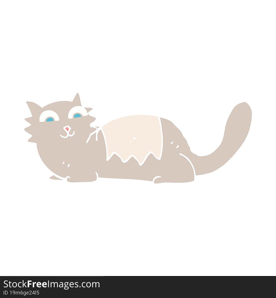 flat color illustration of cat. flat color illustration of cat