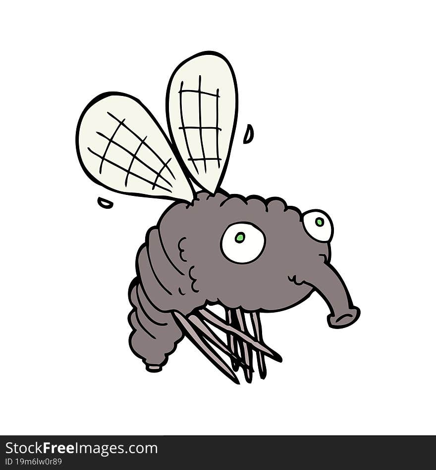 Cartoon Fly