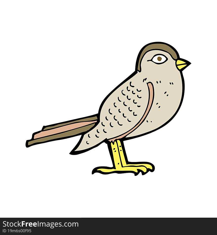 Cartoon Garden Bird