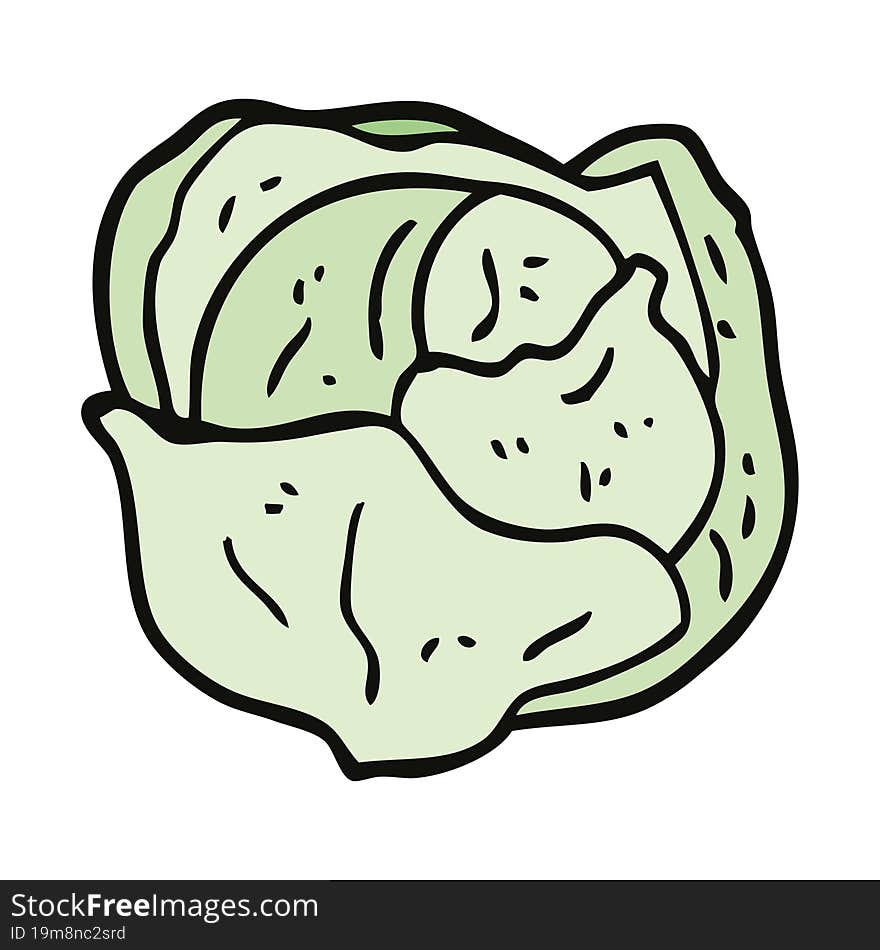 cartoon doodle organic lettuce