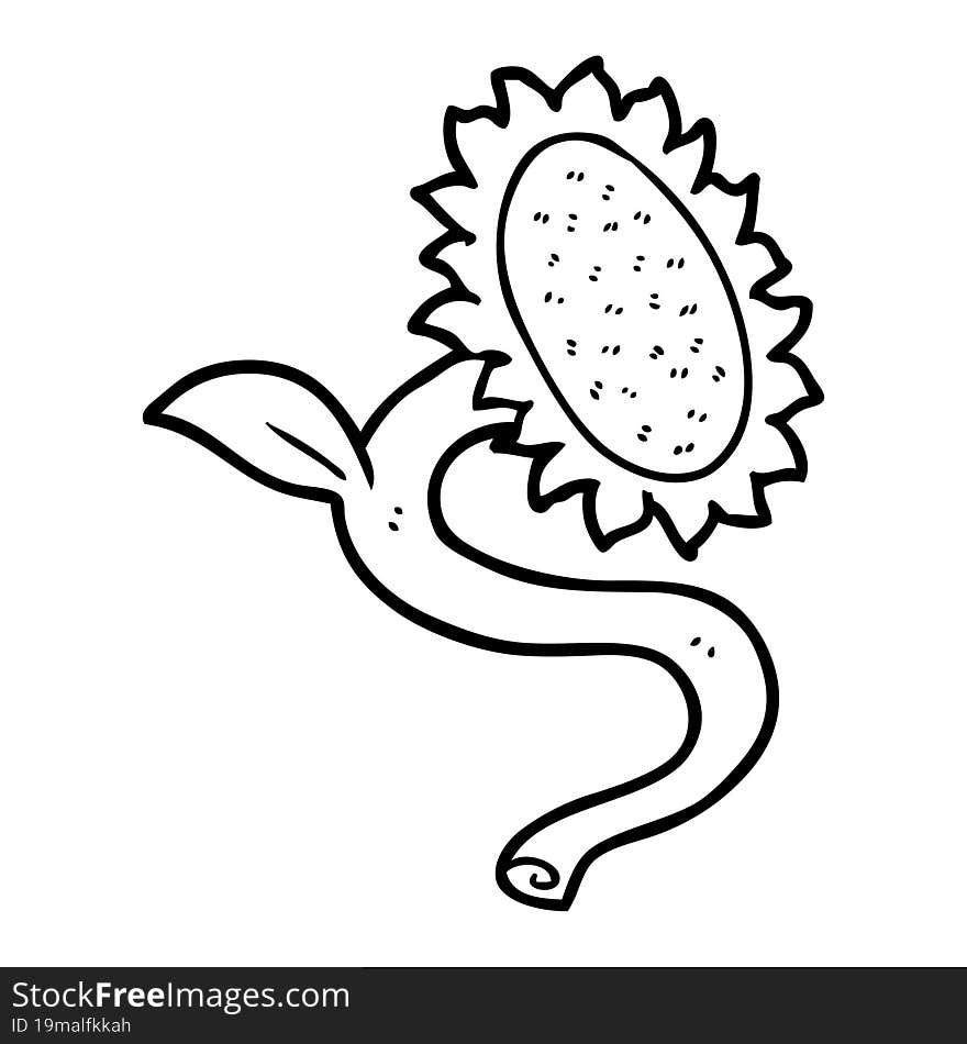 cartoon sunflower. cartoon sunflower