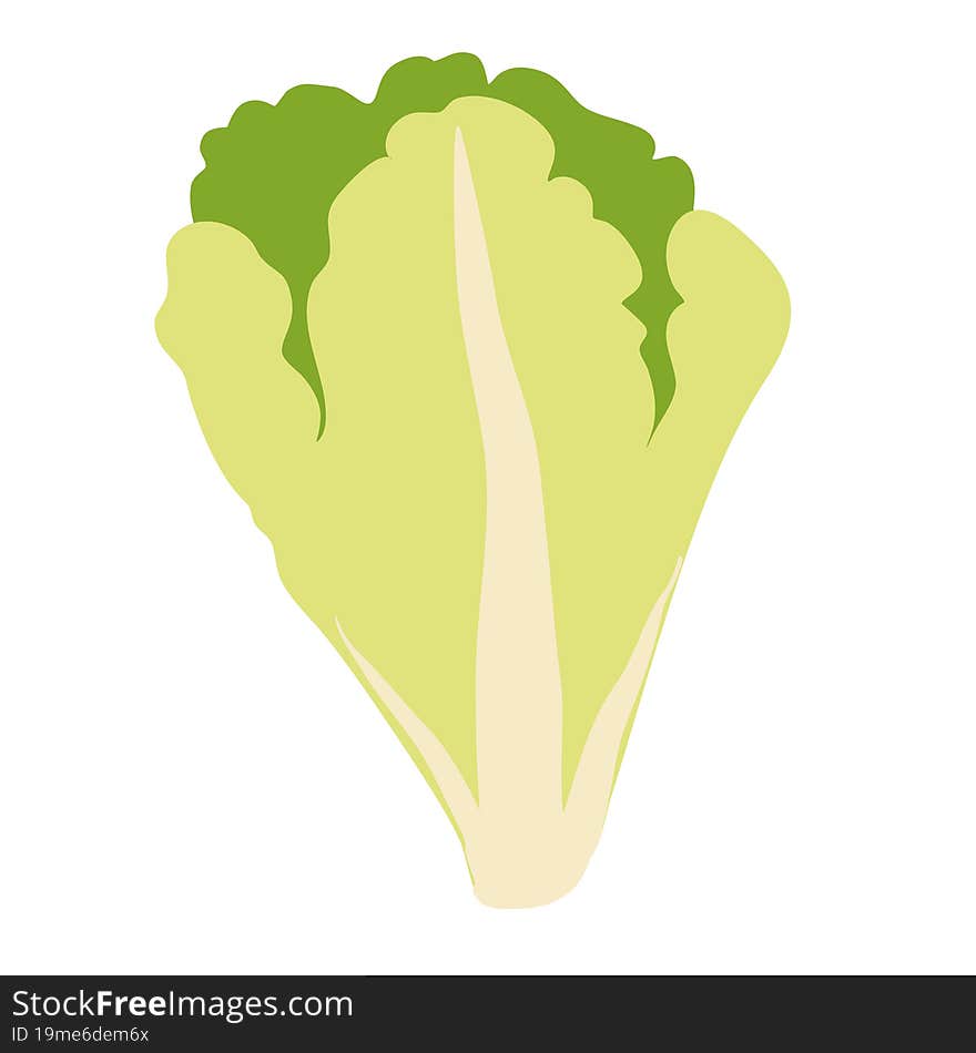 Lettuce leaves