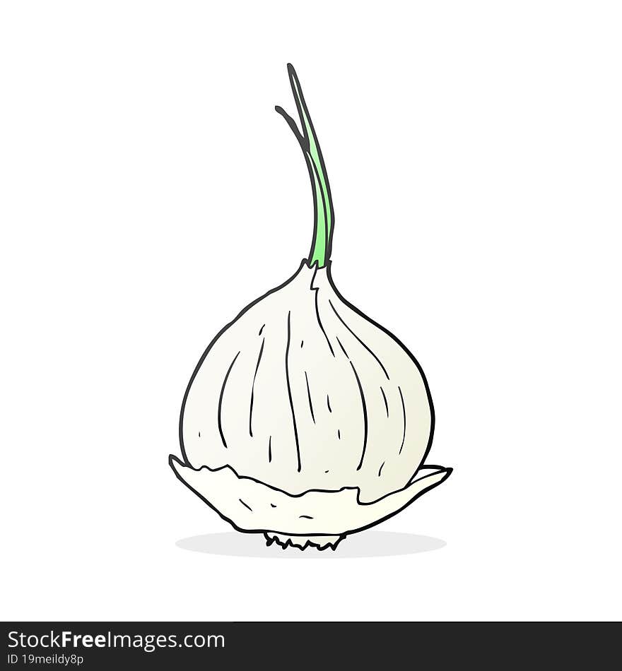 freehand drawn cartoon onion