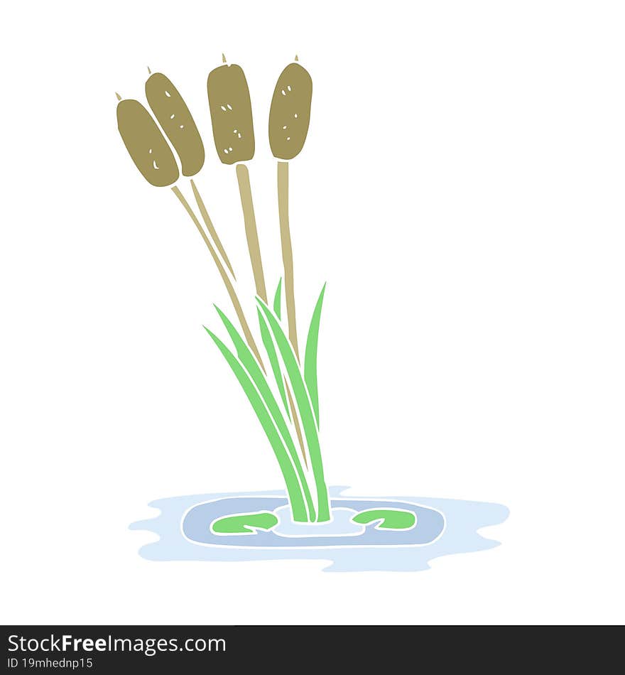 Flat Color Illustration Of A Cartoon Reeds