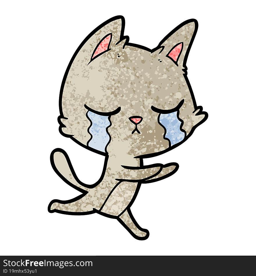 crying cartoon cat running. crying cartoon cat running