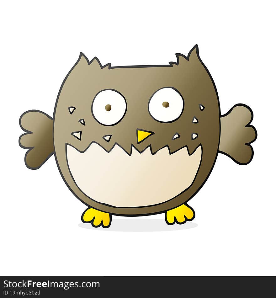 Cartoon Owl