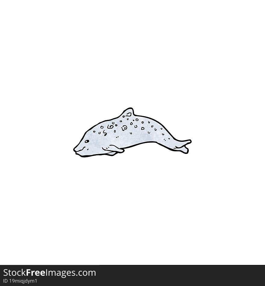 dolphin illustration