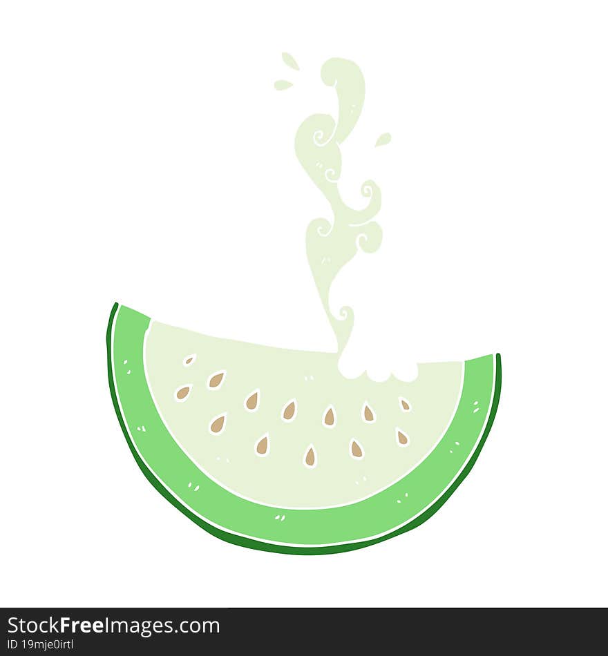 flat color illustration of melon slice. flat color illustration of melon slice