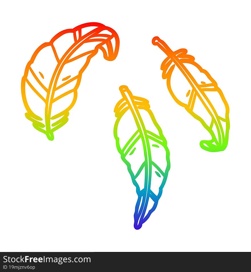 Rainbow Gradient Line Drawing Feathers