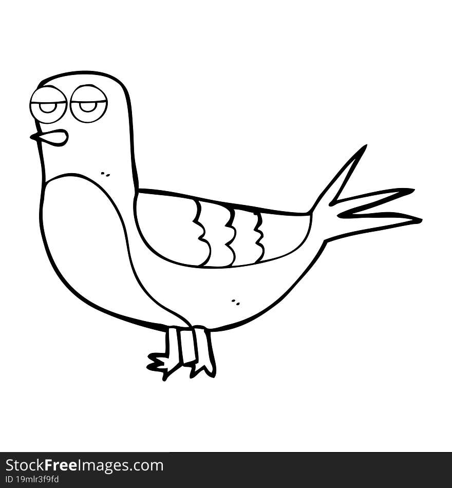 Black And White Cartoon Pigeon