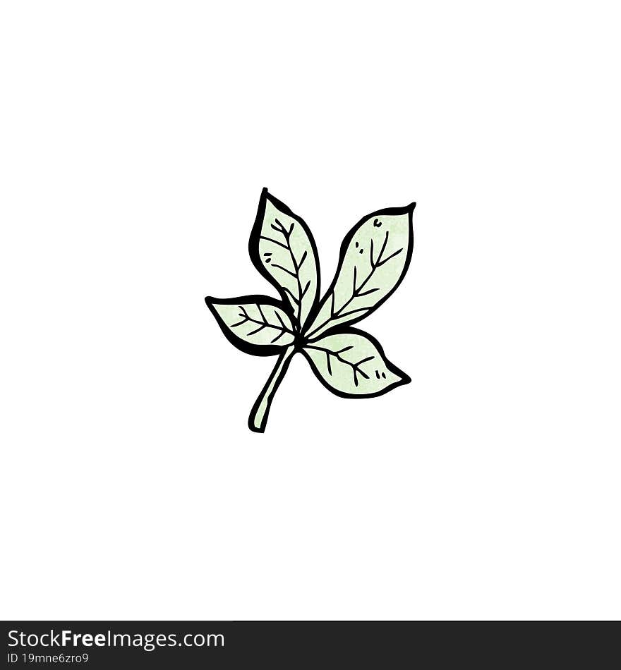 Leaf Illustration