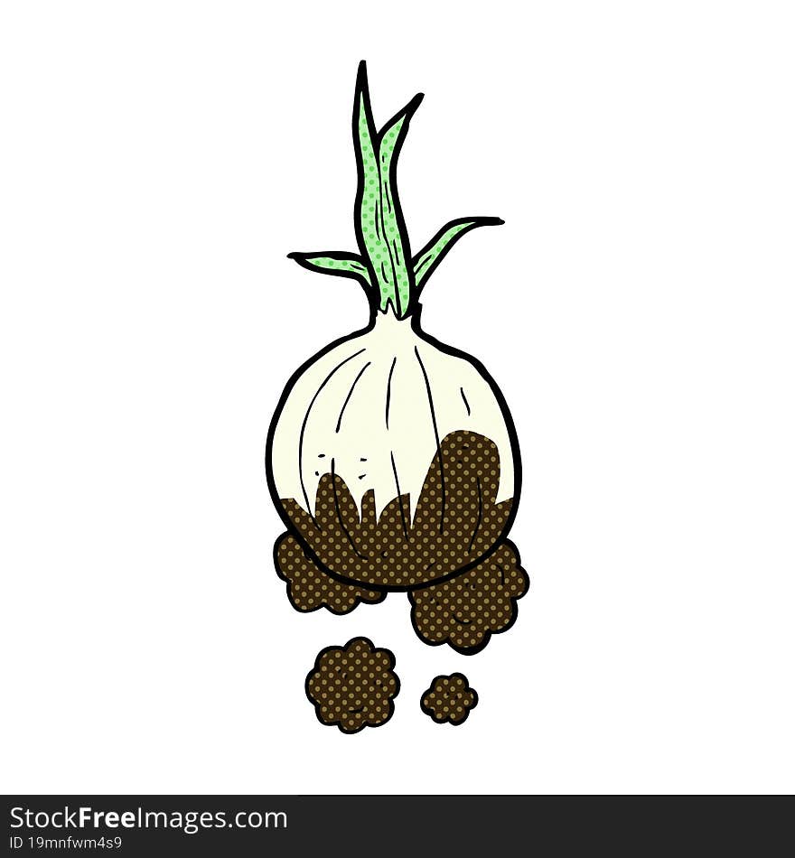 cartoon organic onion